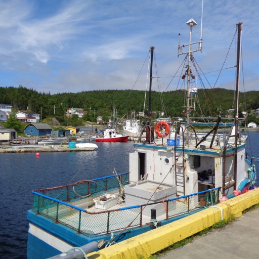 Part 2: SI Jim Winter’s interview with Mike Kehoe of the Coastal People Resource Protection&nbsp;Group