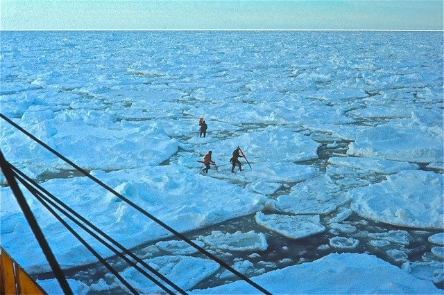 Fact Sheet – Impact of the EU ban on seal products: 3 things you need to&nbsp;know…