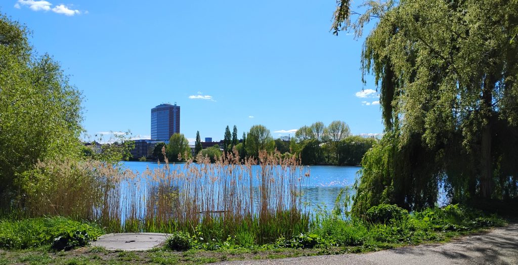 Parasitic Nose Worms: Seal to Human Transfer of&nbsp;Parasites