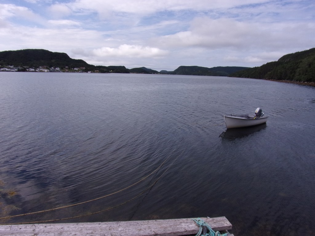 Part 1: Interview between secondary investigator Jim Winter and retired Fisheries and Oceans Canada scientist Dr. Garry&nbsp;Stenson